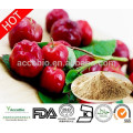 Bulk Supply Acerola Cherry Fruit Extract Powder/Acerola Cherry P.E 17%,25% 98% Vitamin C